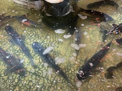-万里闯关东铁锅炖菜馆(高新旗舰店)