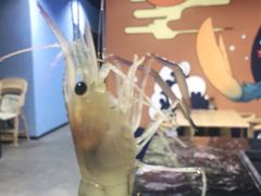 -有才叔北京时间涮肉(紫薇尚层店)