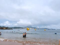 -枸杞岛