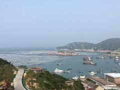 -枸杞岛