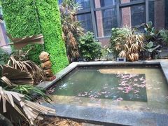 -悦隆庄温泉度假酒店