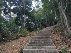 -梧桐山风景名胜区