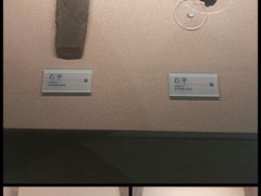 -吉林大学(前卫南区)