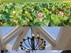 -福建鲤鱼洲酒店