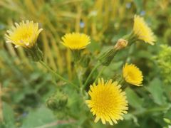 -武汉马哥孛罗酒店