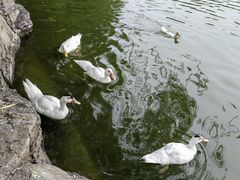 -团结湖公园