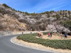 -妙峰山风景名胜区