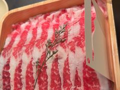 -季季山•云南野生菌火锅(上海首店)