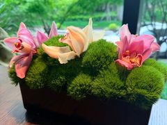 -随堂里