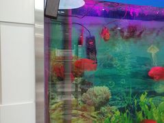 -雅悦齿科(顾村公园店)