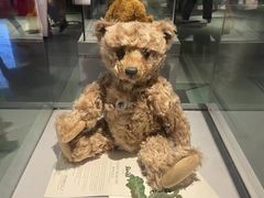 -成都泰迪熊博物馆