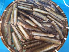 -港畔赶海蒸汽海鲜烧烤自助(仙螺岛店)