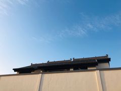 -五龙城郊森林公园
