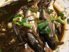-一号码头餐厅(滨江大道店)