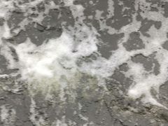 -白洋淀景区