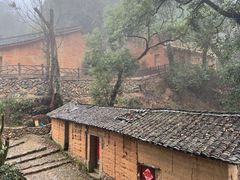 -杨家堂村