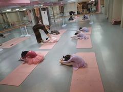 -蒲公英舞蹈艺术中心(解放路校区)
