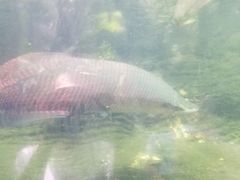 -青青世界