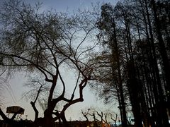 -东湖听涛景区
