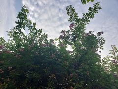 -宝山路(地铁站)