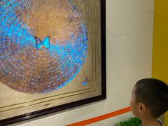 -上海昆虫博物馆