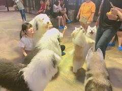 -TrueLove @ Neverland (Husky Cafe)