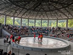 -石家庄市动物园