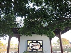 -无锡蠡湖国家湿地公园-蠡园