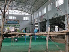 -哈尔滨北方森林动物园
