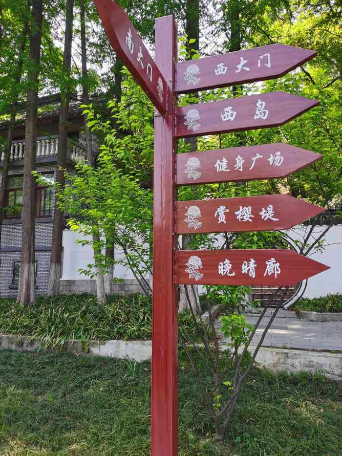 绣球公园-"五月至六月,是绣球公园里绣球花盛开的时节.