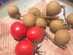 -季季山•云南野生菌火锅(上海首店)