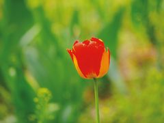 -哈尔滨文化公园