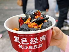 -黑色经典臭豆腐·湖南特产(坡子街店)
