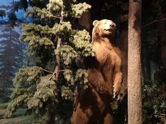 -陕西自然博物馆