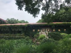 -中国茶叶博物馆(双峰馆区)