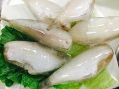 -朱氏胖子烂火锅(洪崖洞店)