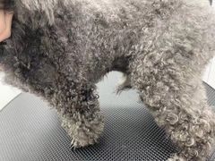 -comecome来吧宠物(奥克斯中心店)