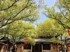 -无锡梅园公园