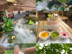 -伴山茶苑·围炉煮茶