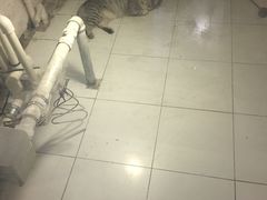 -娜娜家•Nana’Garden (福州道店)