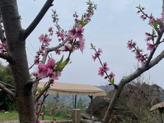 -朋友家餐厅·民宿(龙泉阳光城百工堰公园店)