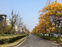 -江南大学(蠡湖校区)