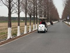 -嘉北郊野公园