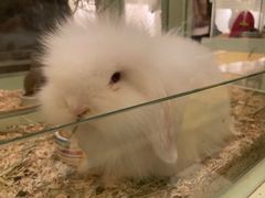 -龙猫仔乐园(惠福东路店)