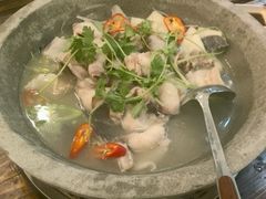 -鸭嘴鱼