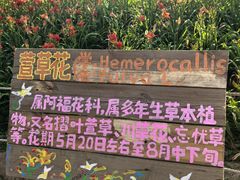 -汉长安城未央宫国家考古遗址公园