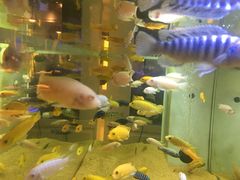 -胖哥俩肉蟹煲(萧山加州阳光店)