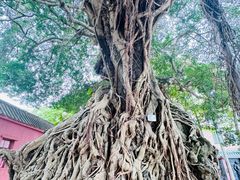 -闽粤南澳总镇府