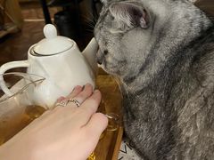 -隅cafe(傅厚岗店)