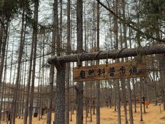 -吉林市朱雀山国家森林公园